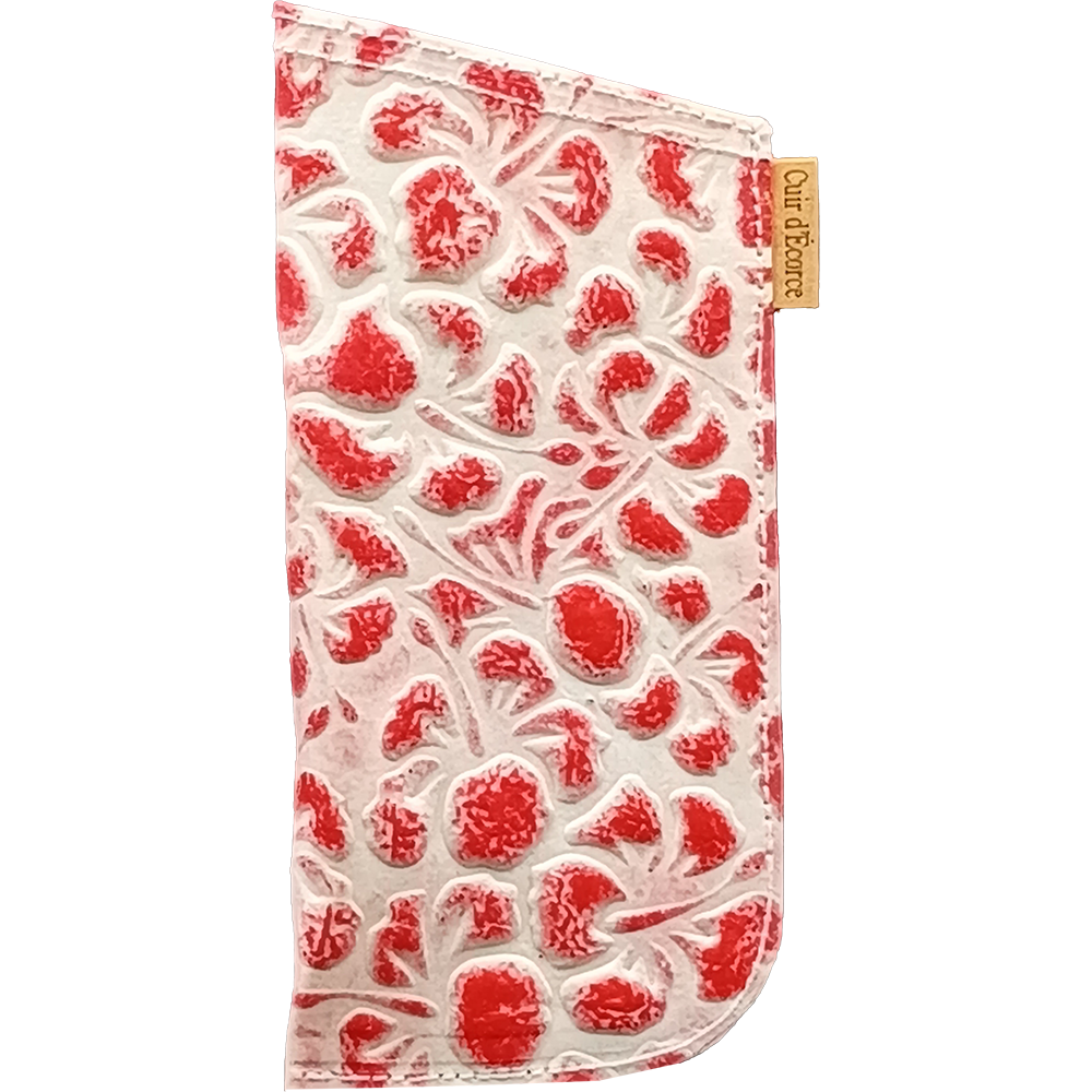 Glasses Case